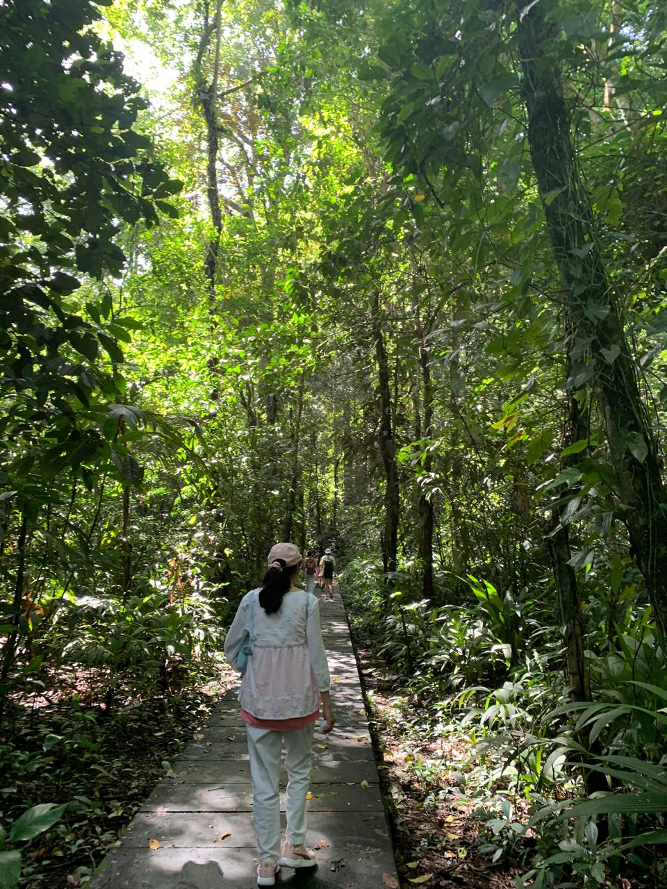 Tortuguero WhatsApp Image 2025-12-06 at 11.40.40 AM (1)